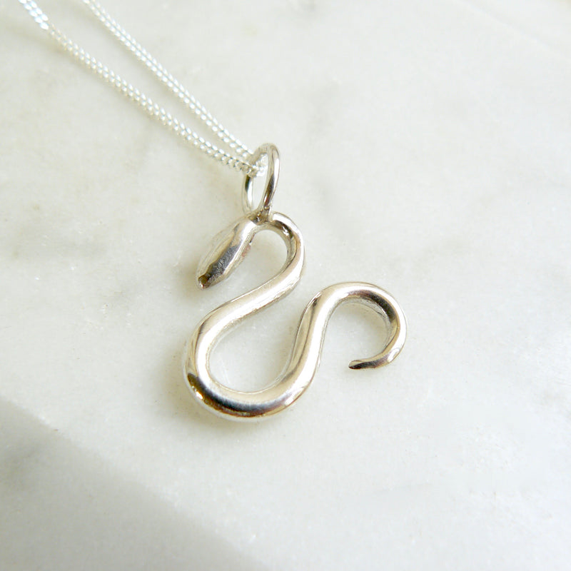 Snake Charm Necklace Silver